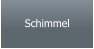 Schimmel
